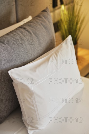 Modern hotel room featuring plush pillows, one with a textured gray cover on a neatly made bed. A green plant adds a touch of nature on the wooden bedside table, creating a calming ambiance