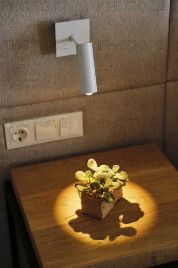 Modern hotel room detail featuring a sleek white wall lamp casting a warm glow on a wooden bedside table with a small succulent plant. Minimalist and cozy atmosphere