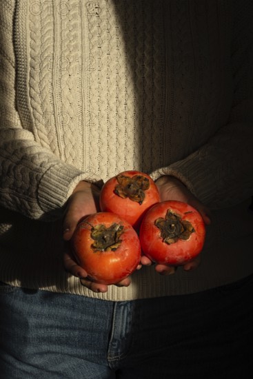 A person in a cozy knitted sweater holds three ripe persimmons close to their chest. The warm light accentuates the vibrant orange and autumn mood
