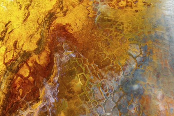 A vivid image showcasing a multicolor mud surface with intricate textures and abstract patterns The dynamic interplay of colors creates a striking visual effect