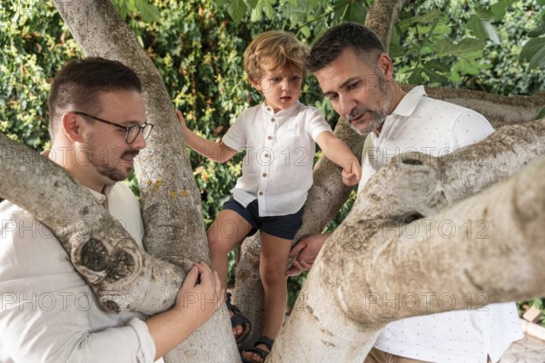 A gay couple enjoys a sunny day with their young son in a tree, exploring outdoors and cherishing moments together. Warm family bonds in a natural setting