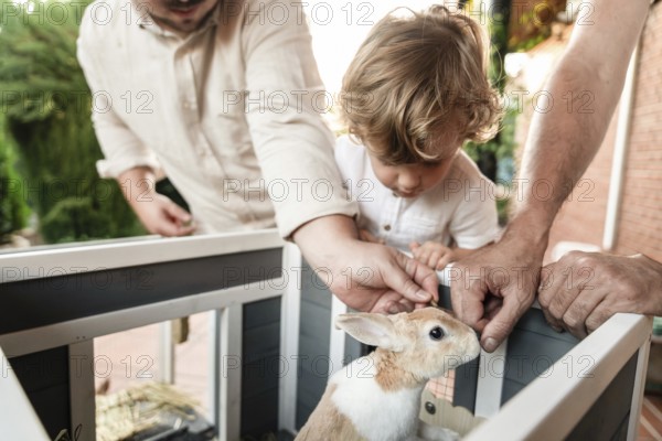 A loving gay couple with their young son enjoys quality time outdoors, interacting with a pet rabbit. The image captures the warmth of family life and diversity