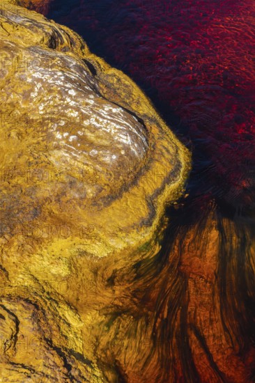 A close-up of the vibrant rock and water colors of the Riotinto river in Huelva, Spain The rich reds and yellows showcase the mineral-rich environment of this unique landscape