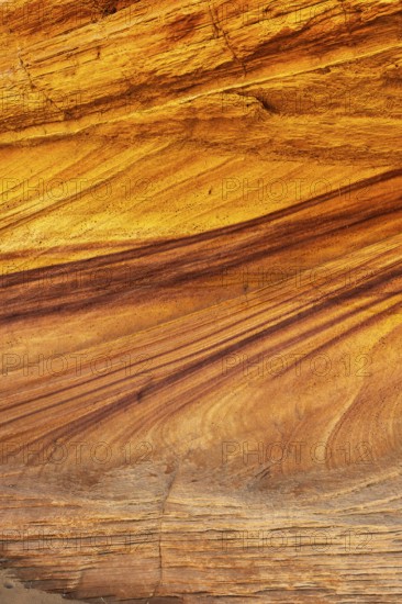 Intricate beauty of golden desert sandstone, showcasing its rich, wavy striped patterns, and vibrant golden hues