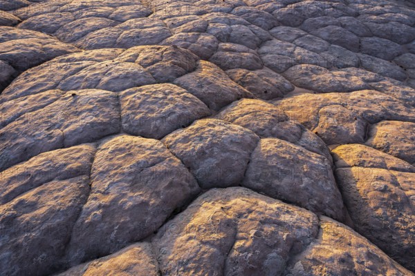 A detailed shot of rugged golden desert sandstone, illuminated by the warm glow of the setting sun, highlighting the textured surface and natural patterns