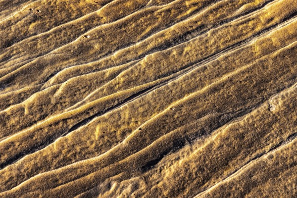 Intricate patterns and grooves in golden desert sandstone. The details reveal the natural beauty and rugged texture of sandstone formed by centuries of wind and erosion