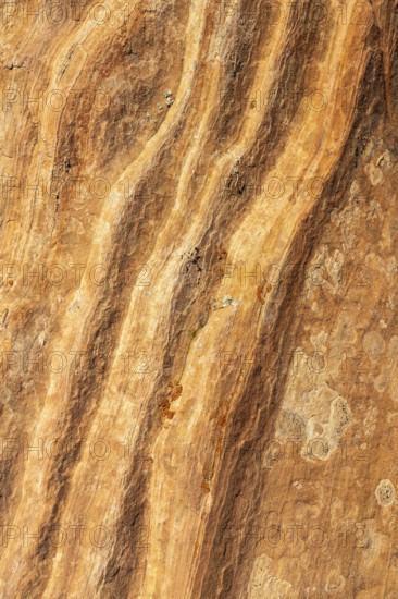 Intricate patterns and vibrant colors of golden desert sandstone, highlighting the natural beauty and geological detail