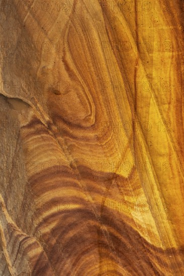 Close-up of golden desert sandstone displaying intricate swirling patterns, rich textures, and warm hues, ideal for backgrounds or nature-themed designs