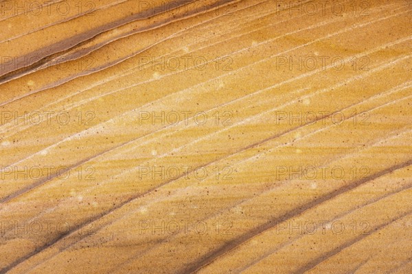 Close-up image showcasing the intricate patterns and warm golden hues of desert sandstone, highlighting its natural striped formations