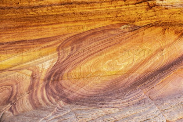Vibrant and detailed close-up of golden desert sandstone, showcasing natural swirling patterns and rich, layered colors that highlight the geological beauty and complexity