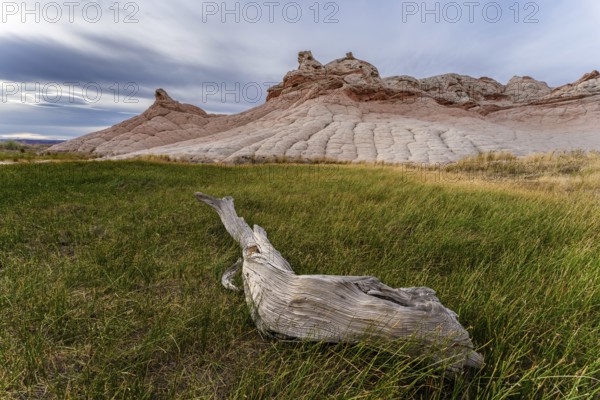Scenic view of Coyote Buttes at Paria Canyon-Vermilion Cliffs Wilderness, Arizona, featuring a weathered log amid vibrant green grass under a stormy sky