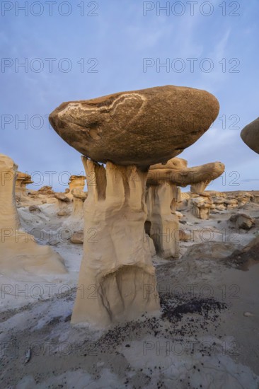 Capturing the unique hoodoo rock formations at Bisti De-Na-Zin Wilderness, New Mexico, highlights the otherworldly landscape under a clear blue sky, showcasing nature's artistry