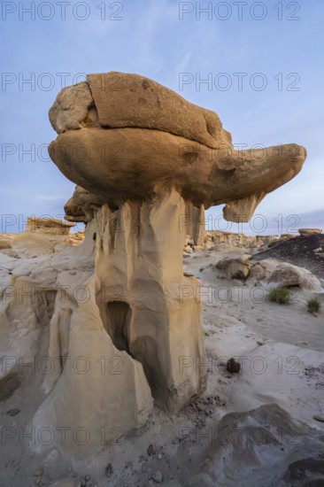 Explore the unique rock formations of Bisti De-Na-Zin Wilderness in New Mexico, USA Erosion and time sculpted these captivating hoodoos in a stunning desert landscape
