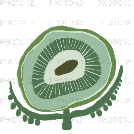 This illustration features a vibrant green flower, showcasing intricate organic patterns and textures The design emphasizes natural elements and elegance, offering an artistic touch