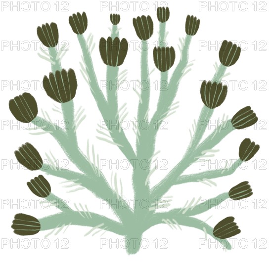 Illustration showcases a stylized depiction of green flowers in an abstract pattern The design features a harmonious blend of shapes and colors, perfect for textile, wallpaper, or creative projects