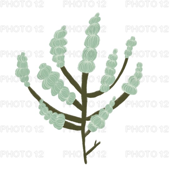 A vibrant green floral illustration showcasing delicate, abstract designs The flowing forms and soothing colors offer a calming and creative aesthetic for decorative and artistic projects