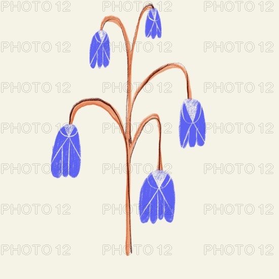 A stylized, minimalist illustration of blue spring flowers with a distinctive orange stem, presented against a soft cream background