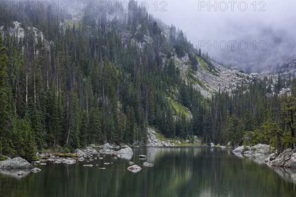A tranquil mountain lake in Colorado, shrouded in mist, nestled within dense, towering pine forests and rugged terrain, highlighting the serene beauty of nature in the Rocky Mountains