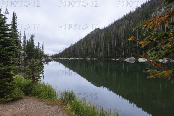 A serene, glass-like lake mirrors a lush pine forest under an overcast sky, tucked away in the wilderness of Colorado