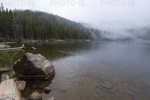 A foggy morning envelops a tranquil mountain lake surrounded by dense pine forests in Colorado, showcasing nature's serene beauty