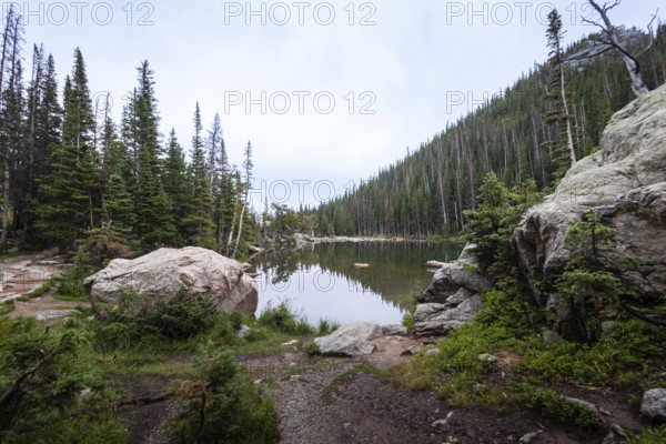 This image captures a peaceful morning at a serene lake surrounded by dense forests in the Rocky Mountains, Colorado, reflecting the sky above in its calm waters