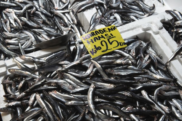 Istanbul, Turkey. November 28th 2020 Black Sea Hamsi fish for sale in the Karakoy Fish Market, Istanbul, Turkey