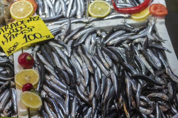 Istanbul, Turkey. November 15th 2023 Fresh Turkish Black Sea Hamsi for sale, a type of anchovy fish popular in Turkey sold in the fish market of Istanbul near the Bosporus, Turkey