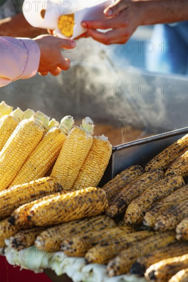 Istanbul, Turkey. June 7th 2019 Misir. Corn on the cob a traditional Turkish street food being sold from a push cart in the Fatih district of the European side of Istanbul Turkey