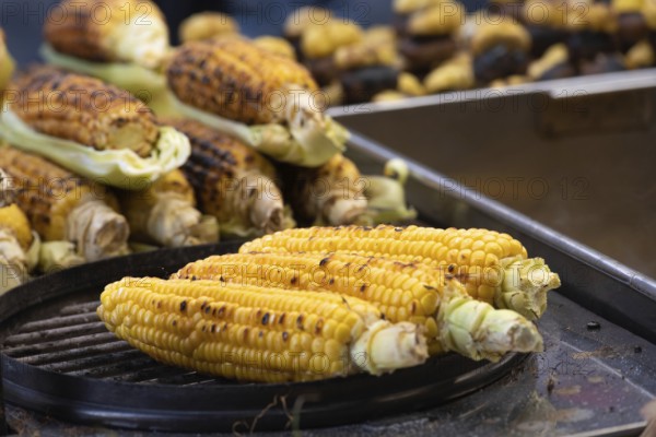Tasty grilled sweet corn on the cob, a popular Turkish street food grilled and sold from street carts and stalls by vendors in Turkish cities such as Istanbul, Ankara and Bodrum