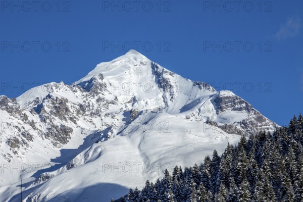 A stunning snow-covered mountain peak stands majestically against a backdrop of a clear, deep blue sky, surrounded by lush evergreen trees, capturing the essence of winter tranquility in Georgia