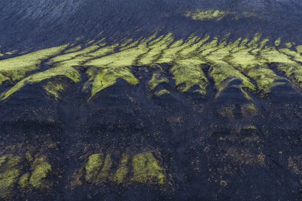Aerial view of vibrant green moss patterns on a dark riverbank in Iceland. This natural texture showcases the unique contrast between moss and volcanic soil