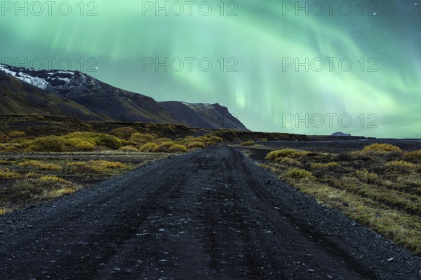 Majestic Northern Lights dancing over a rugged Icelandic landscape with a winding gravel road leading towards snow-capped mountains amid autumnal vegetation