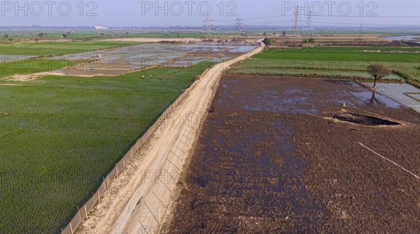 In an aerial view, people walk on a road cutting through rice paddy fields on February 16, 2026 in Mayong, India