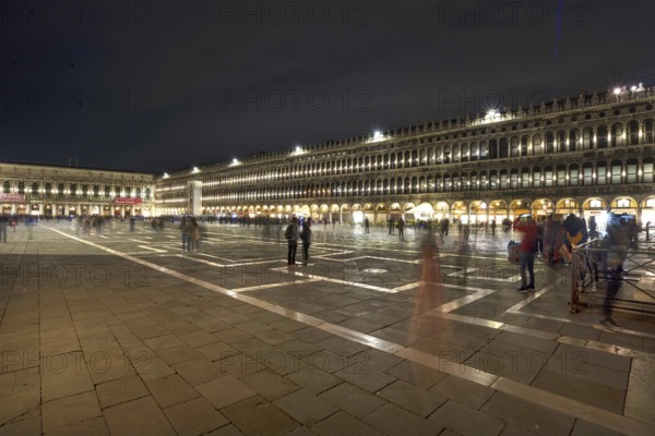 St. Mark's Square illuminated at night, Venice, Veneto, Italy