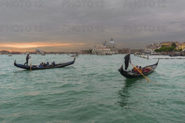Gondolas in front of Venice, behind Santa Maria Della Salute, Veneto, Italy
