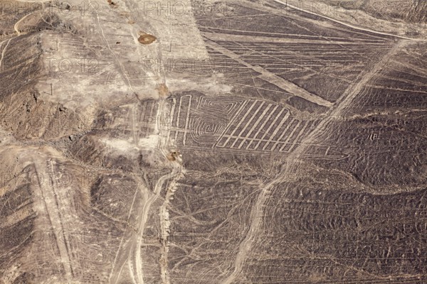 Impressive geoglyphs and line patterns in the dry Nazca Desert, The geoglyphs and drawings in the desert near Nasca and Palpa in Peru