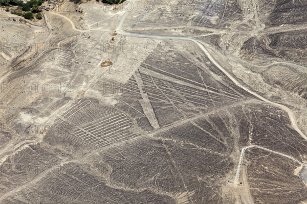 Large geoglyphs in the Nazca Desert visible from a bird's eye view, The geoglyphs and images in the desert near Nasca and Palpa in Peru