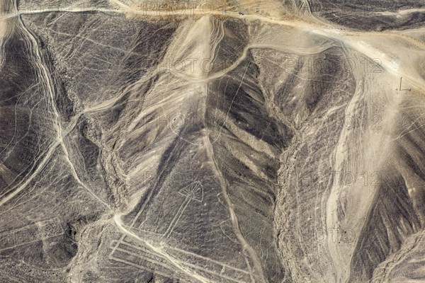 Geoglyphs in the hills of the Nazca Desert with recognizable line structures, The geoglyphs and images in the desert near Nasca and Palpa in Peru