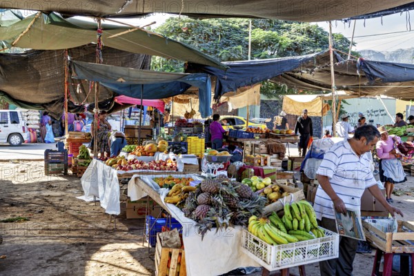 A busy market full of fruit stands and vendors in a lively atmosphere, The market on the streets of Nasca in Peru