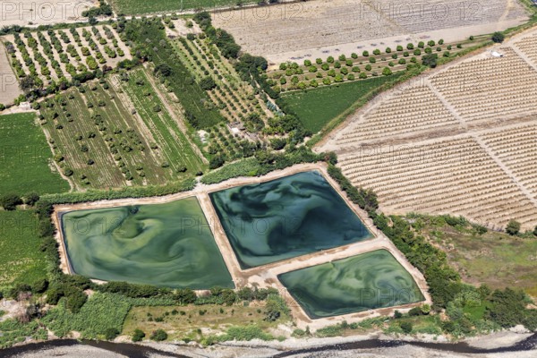 Aerial view of agricultural land with green fields and water, the desert landscape near Nasca in Peru