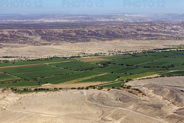 Extensive green fields nestled in a vast, barren desert landscape, the desert landscape near Nasca in Peru