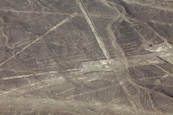 Aerial view of geoglyphs and lines that criss-cross the desert, the geoglyphs and images in the desert near Nasca and Palpa in Peru