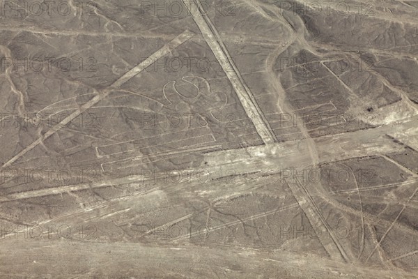 Complex geoglyphs and lines in a sandy desert, The geoglyphs and images in the desert near Nasca and Palpa in Peru