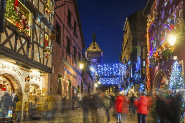 Colour-illuminated and Christmassy decorated half-timbered houses, blue hour, Christmas market, Riquewihr, Grand Est, Haut-Rhin, Alsace, France