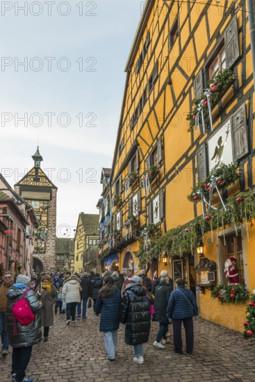 Christmassy decorated half-timbered houses, Christmas market, Riquewihr, Grand Est, Haut-Rhin, Alsace, France