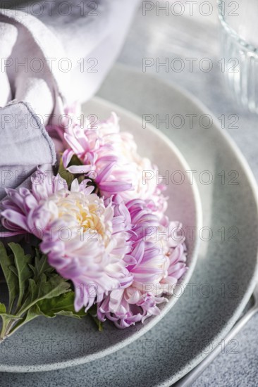 A close-up of pink chrysanthemums on a set table with pastel linen, evoking a serene and elegant autumnal atmosphere, perfect for a cozy gathering