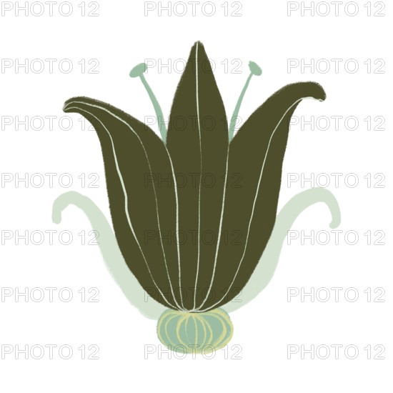 A digital illustration of a green flower with stylized organic shapes and intricate details This design captures the essence of nature's beauty and artistic expression