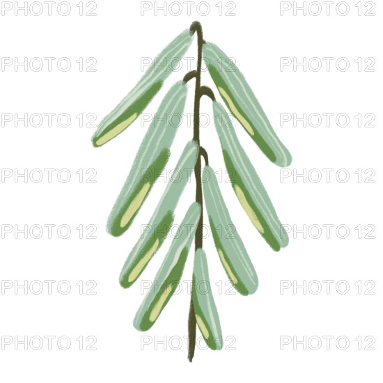 A captivating illustration showcasing delicate green flowers in a minimalist design This artwork embodies elegance and simplicity with its refined color palette