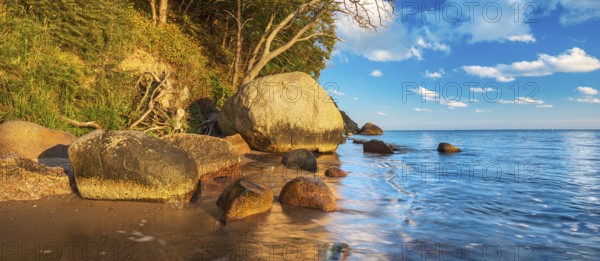 Coastal landscape with large boulders on the Baltic Sea beach in the evening light, Mönchgut Nature Reserve, Groß Zicker, Mönchgut Peninsula, Rügen Island, Mecklenburg-Western Pomerania, Germany