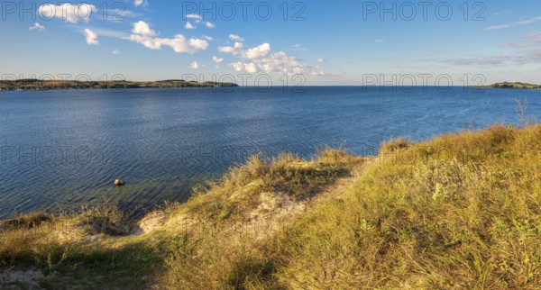 View over the lagoon landscape, Mönchgut Nature Reserve, Groß Zicker, Mönchgut Peninsula, Rügen Island, Mecklenburg-Western Pomerania, Germany